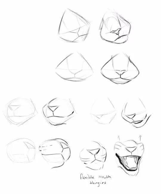 如何画猫(如何画猫咪简笔画步骤)