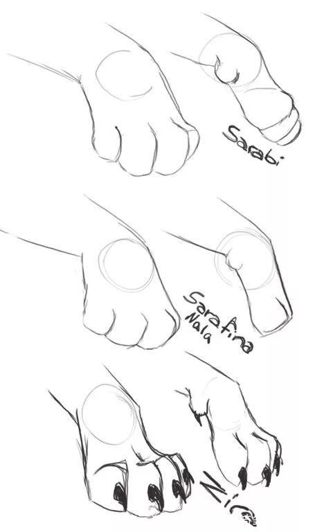 如何画猫(如何画猫咪简笔画步骤)