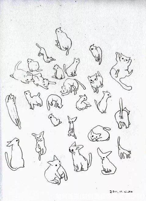 如何画猫(如何画猫咪简笔画步骤)