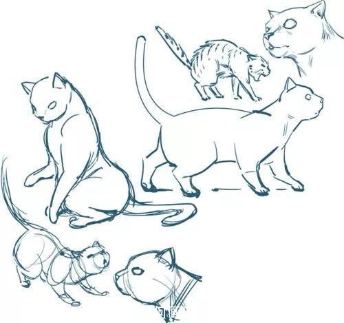 如何画猫(如何画猫咪简笔画步骤)