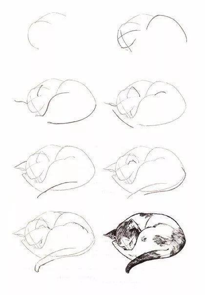 如何画猫(如何画猫咪简笔画步骤)