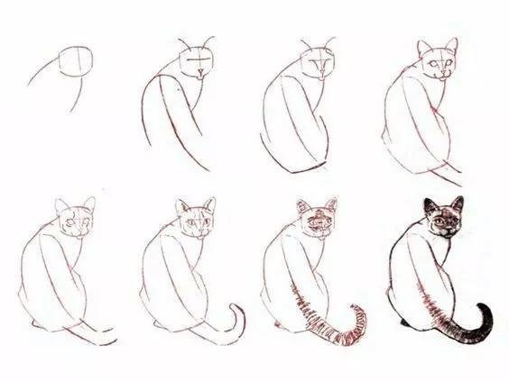 如何画猫(如何画猫咪简笔画步骤)