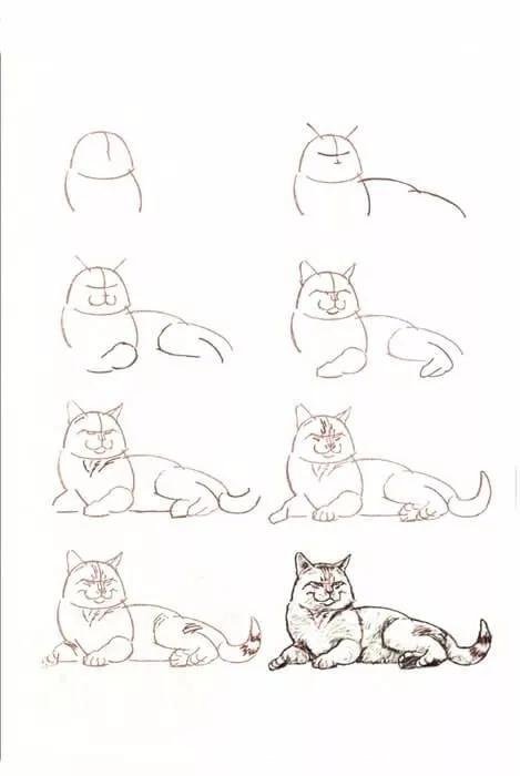 如何画猫(如何画猫咪简笔画步骤)