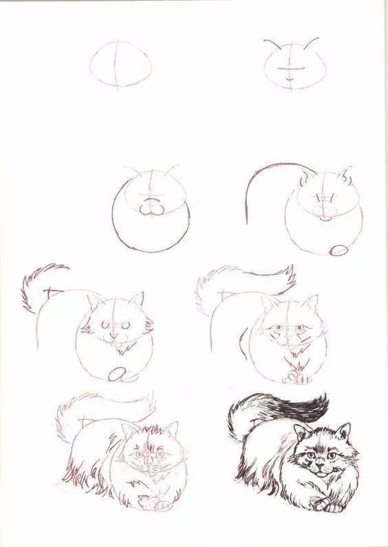 如何画猫(如何画猫咪简笔画步骤)