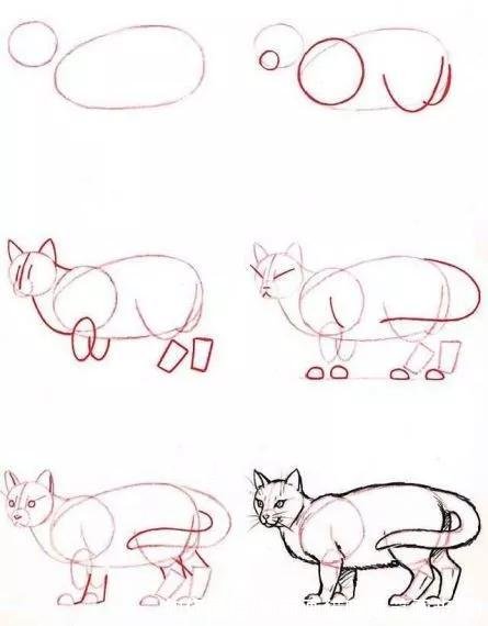 如何画猫(如何画猫咪简笔画步骤)