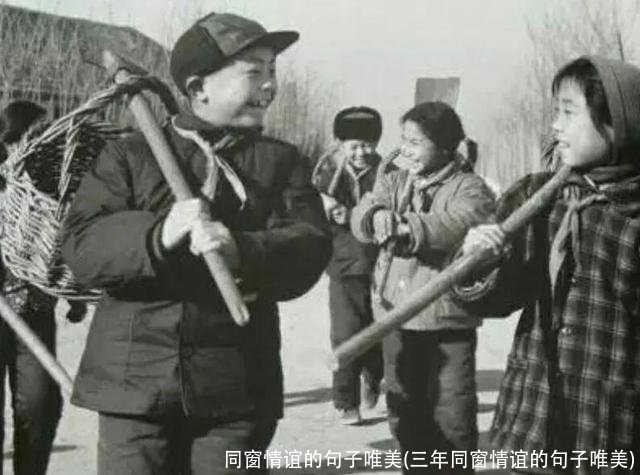 同窗情谊的句子唯美(三年同窗情谊的句子唯美)