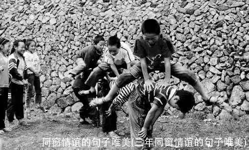 同窗情谊的句子唯美(三年同窗情谊的句子唯美)