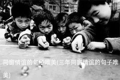 同窗情谊的句子唯美(三年同窗情谊的句子唯美)