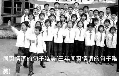 同窗情谊的句子唯美(三年同窗情谊的句子唯美)