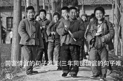 同窗情谊的句子唯美(三年同窗情谊的句子唯美)