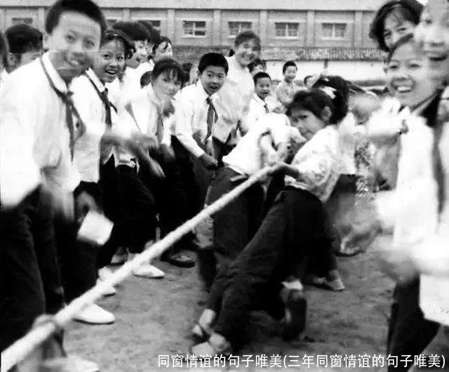 同窗情谊的句子唯美(三年同窗情谊的句子唯美)