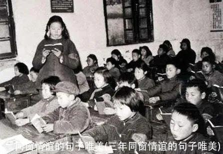 同窗情谊的句子唯美(三年同窗情谊的句子唯美)