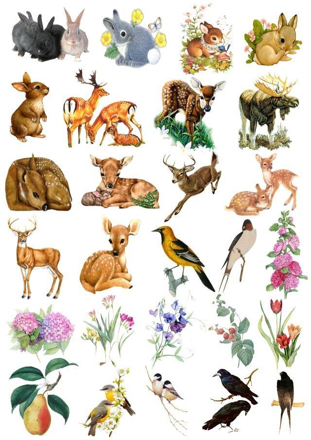 小学生手账本(小学生手帐怎么做简单)