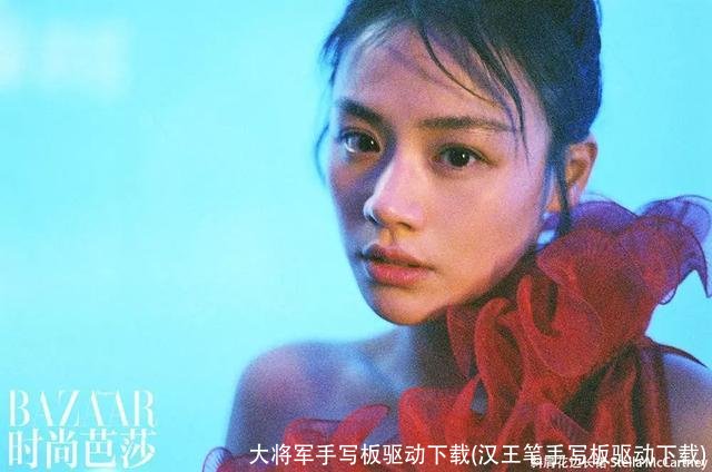 大将军手写板驱动下载(汉王笔手写板驱动下载)