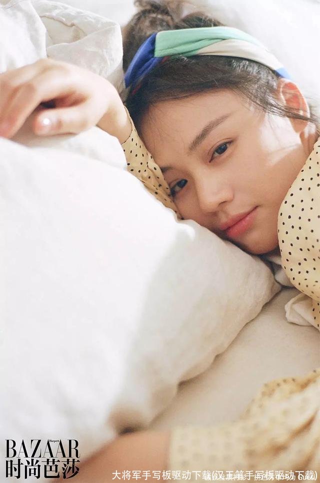 大将军手写板驱动下载(汉王笔手写板驱动下载)