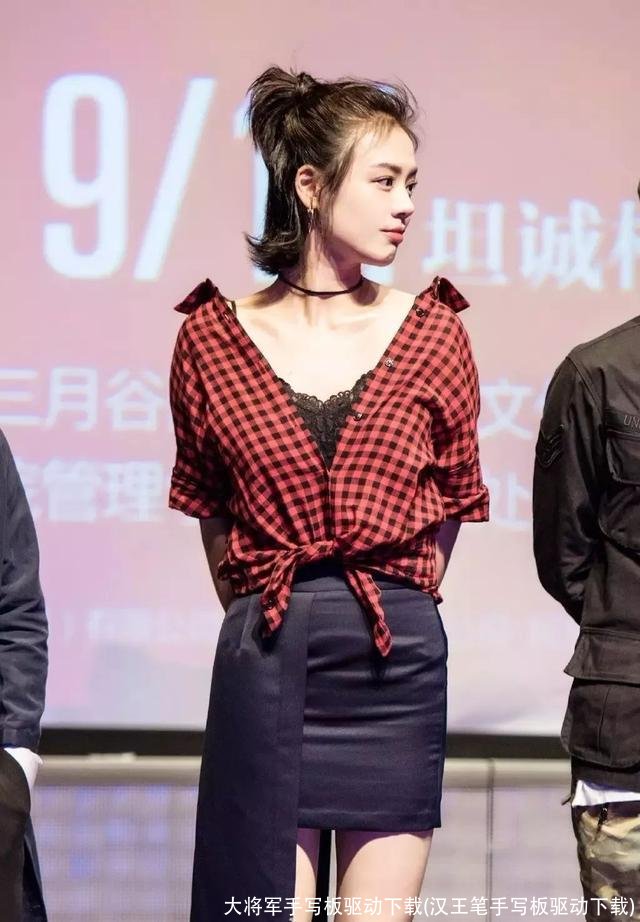 大将军手写板驱动下载(汉王笔手写板驱动下载)