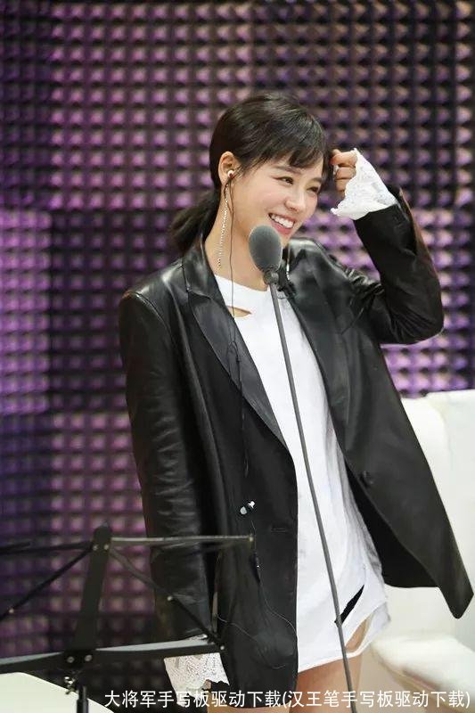 大将军手写板驱动下载(汉王笔手写板驱动下载)