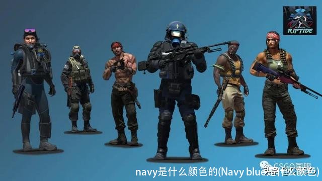navy是什么颜色的(Navy blue是什么颜色)