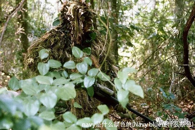 navy是什么颜色的(Navy blue是什么颜色)