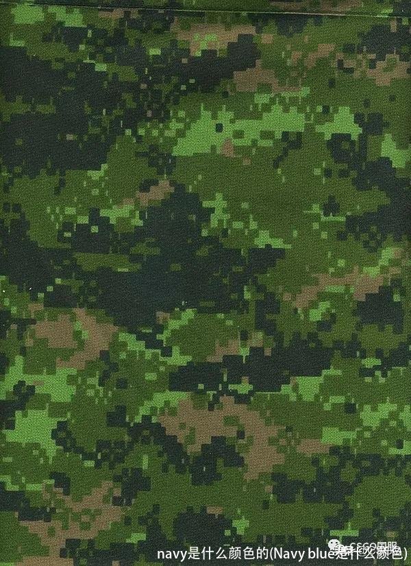 navy是什么颜色的(Navy blue是什么颜色)