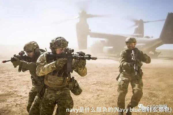 navy是什么颜色的(Navy blue是什么颜色)