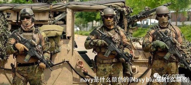 navy是什么颜色的(Navy blue是什么颜色)