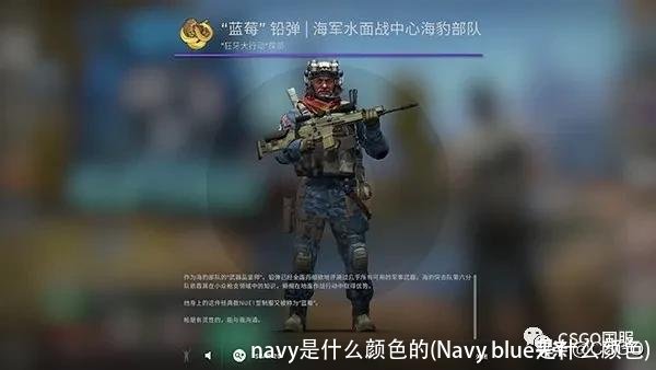 navy是什么颜色的(Navy blue是什么颜色)