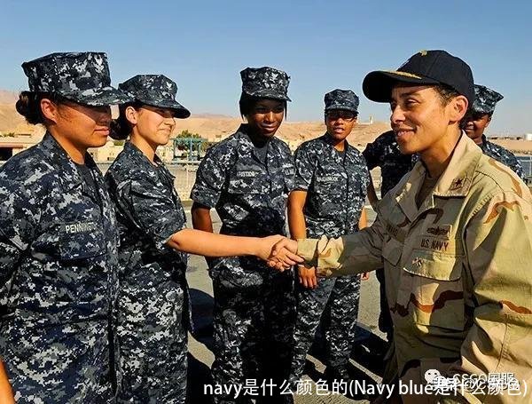 navy是什么颜色的(Navy blue是什么颜色)