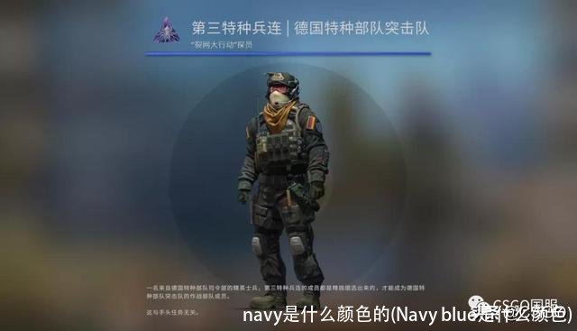 navy是什么颜色的(Navy blue是什么颜色)