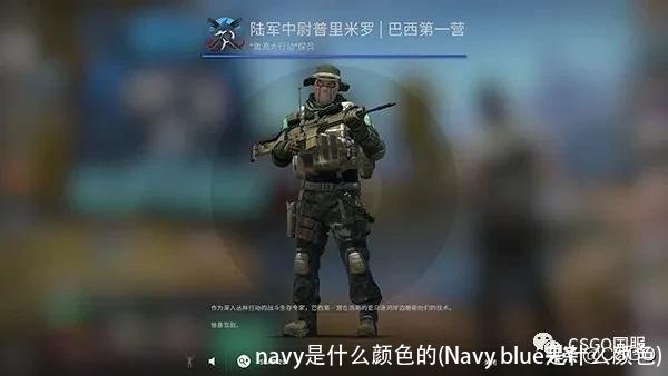 navy是什么颜色的(Navy blue是什么颜色)