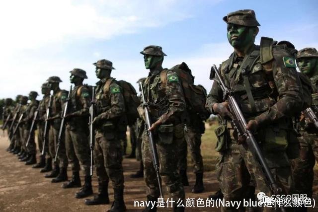 navy是什么颜色的(Navy blue是什么颜色)