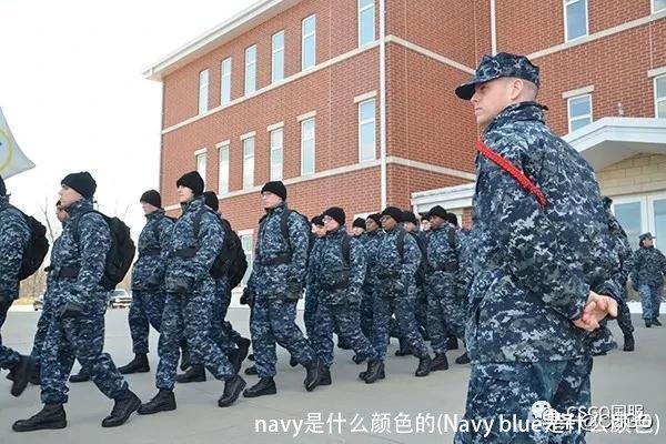 navy是什么颜色的(Navy blue是什么颜色)