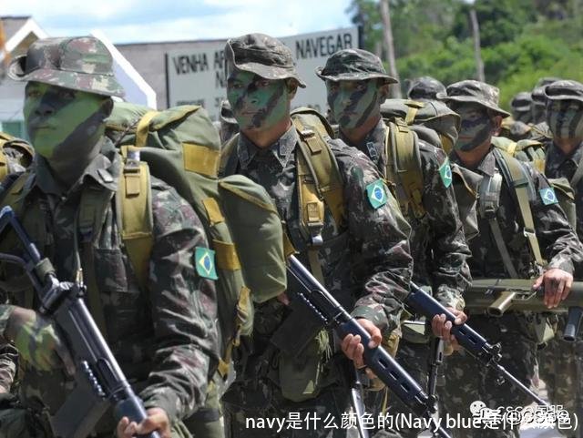 navy是什么颜色的(Navy blue是什么颜色)
