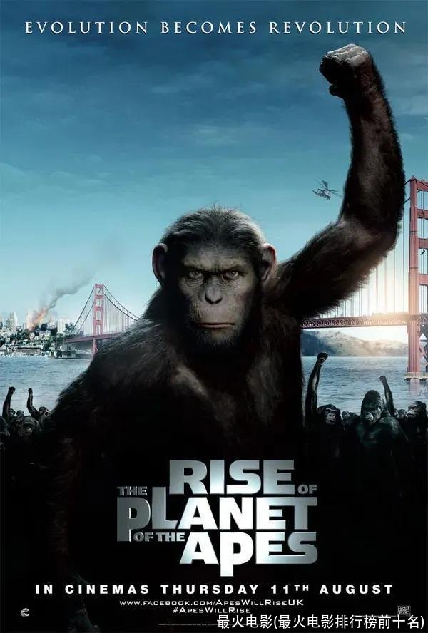 最火电影(最火电影排行榜前十名)