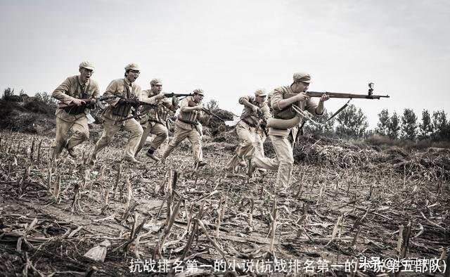 抗战排名第一的小说(抗战排名第一的小说第五部队)