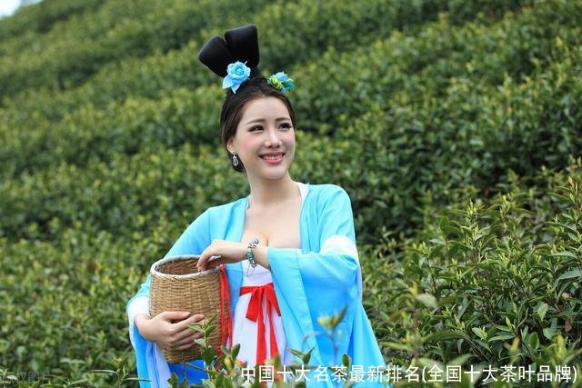 中国十大名茶最新排名(全国十大茶叶品牌)