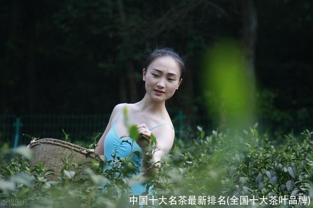 中国十大名茶最新排名(全国十大茶叶品牌)