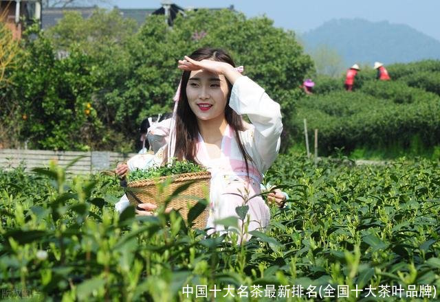 中国十大名茶最新排名(全国十大茶叶品牌)