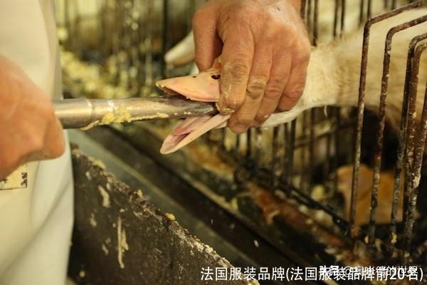 法国服装品牌(法国服装品牌前20名)