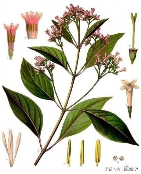 法国服装品牌(法国服装品牌前20名)