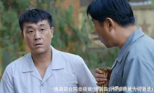 情满四合院娄晓娥(情满四合院娄晓娥为何要走)