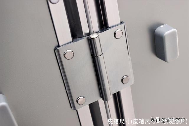 皮箱尺寸(皮箱尺寸对照表照片)