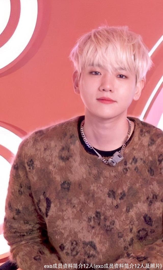 exo成员资料简介12人(exo成员资料简介12人及照片)