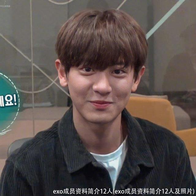 exo成员资料简介12人(exo成员资料简介12人及照片)