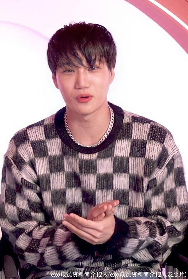 exo成员资料简介12人(exo成员资料简介12人及照片)