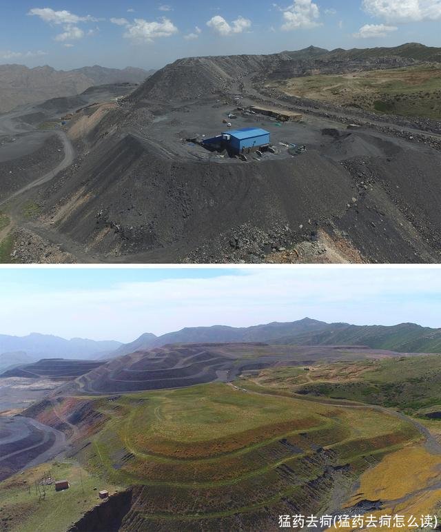 猛药去疴(猛药去疴怎么读)