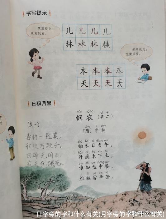 日字旁的字和什么有关(月字旁的字和什么有关)