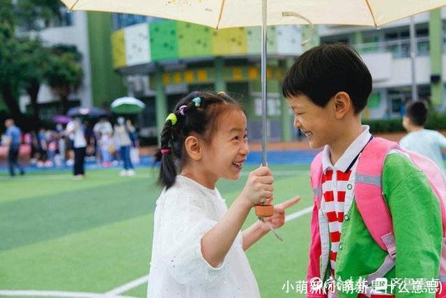 小萌新(小萌新是什么意思)