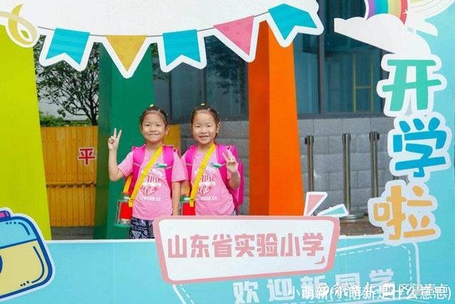 小萌新(小萌新是什么意思)