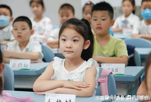 小萌新(小萌新是什么意思)